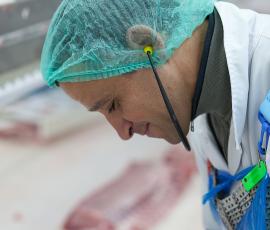 Broceliande filière porc BIO Broceliande filière porc BIO