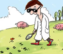 Broceliande filière porc BIO Broceliande filière porc BIO