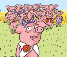 Broceliande filière porc BIO Broceliande filière porc BIO