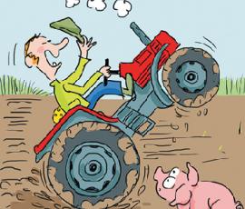 Broceliande filière porc BIO Broceliande filière porc BIO