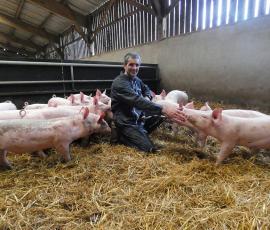 cochon bio  cochon bio