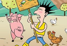 Broceliande filière porc BIO Broceliande filière porc BIO