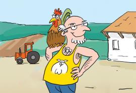 Broceliande filière porc BIO Broceliande filière porc BIO